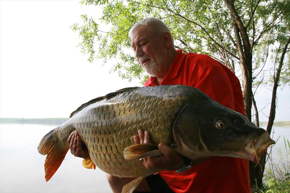 Sterilizarea memoriei